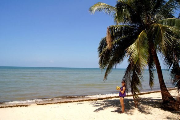 phu quoc hostel